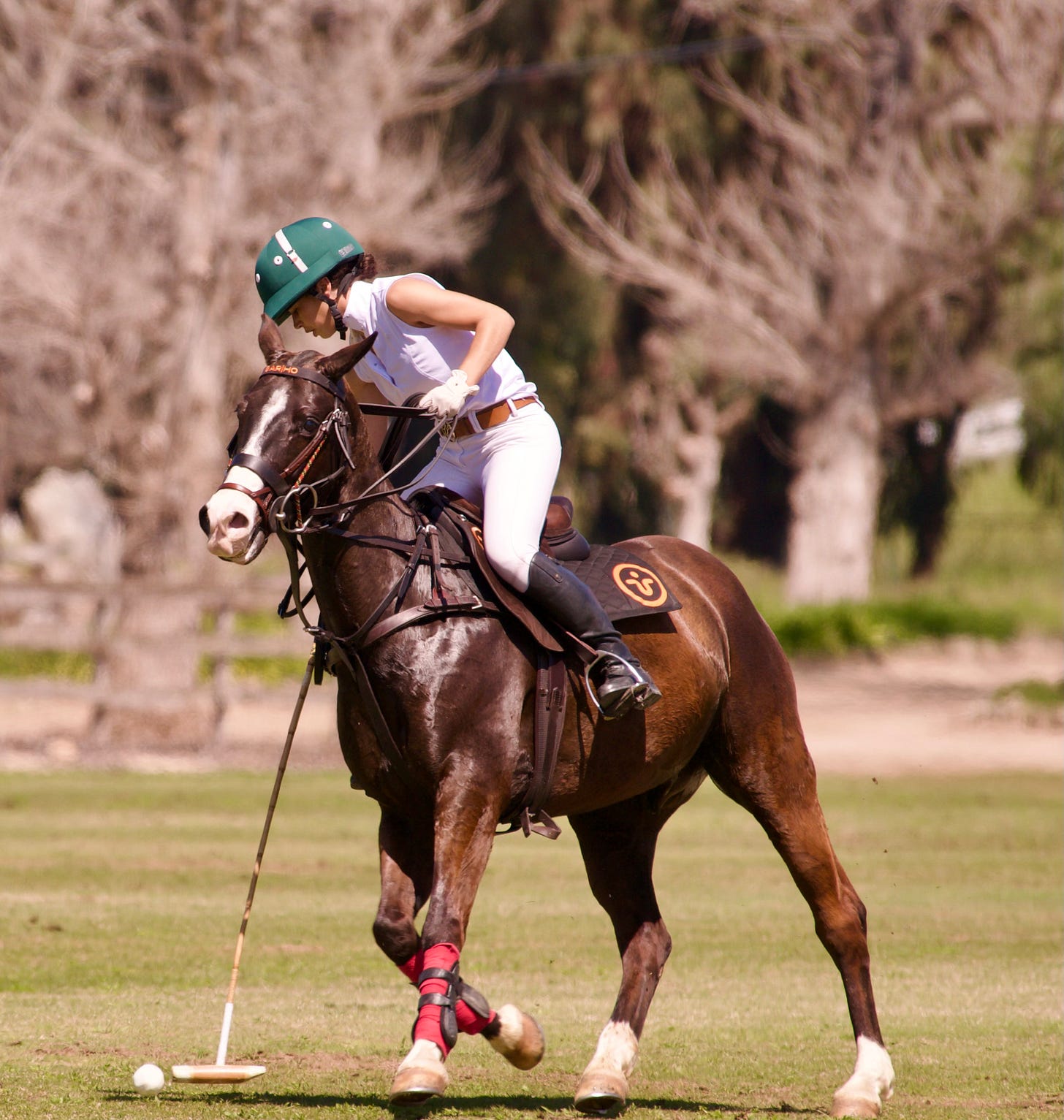 Stick and Ball practice with Pico Blanco at Bonsall Polo Farm