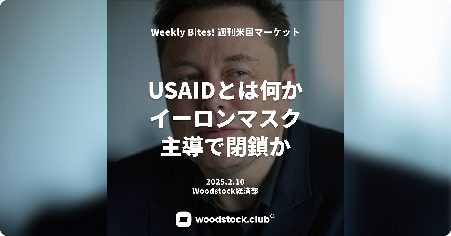 「イーロン・マスクの写真と『USAIDとは何か イーロン・マスク主導で閉鎖か』という見出しの週刊米国マーケット記事（2025年2月10日、Woodstock経済部）」