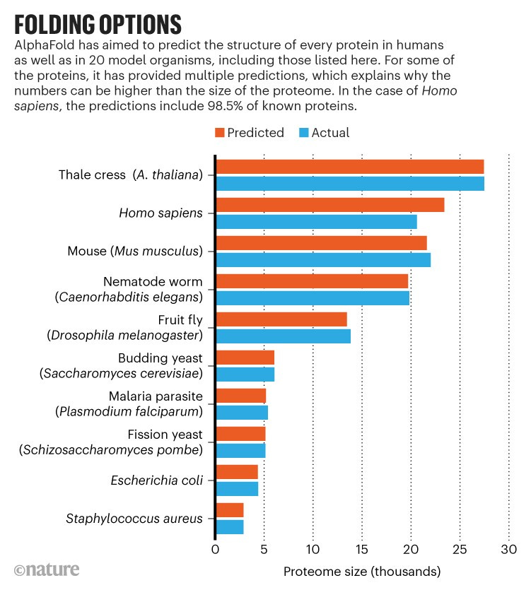 Folding options: Chart showing the actual proteome size and that predicted by AlphaFold for a number of organisms.