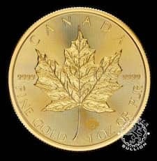 maple-leaf.jpg