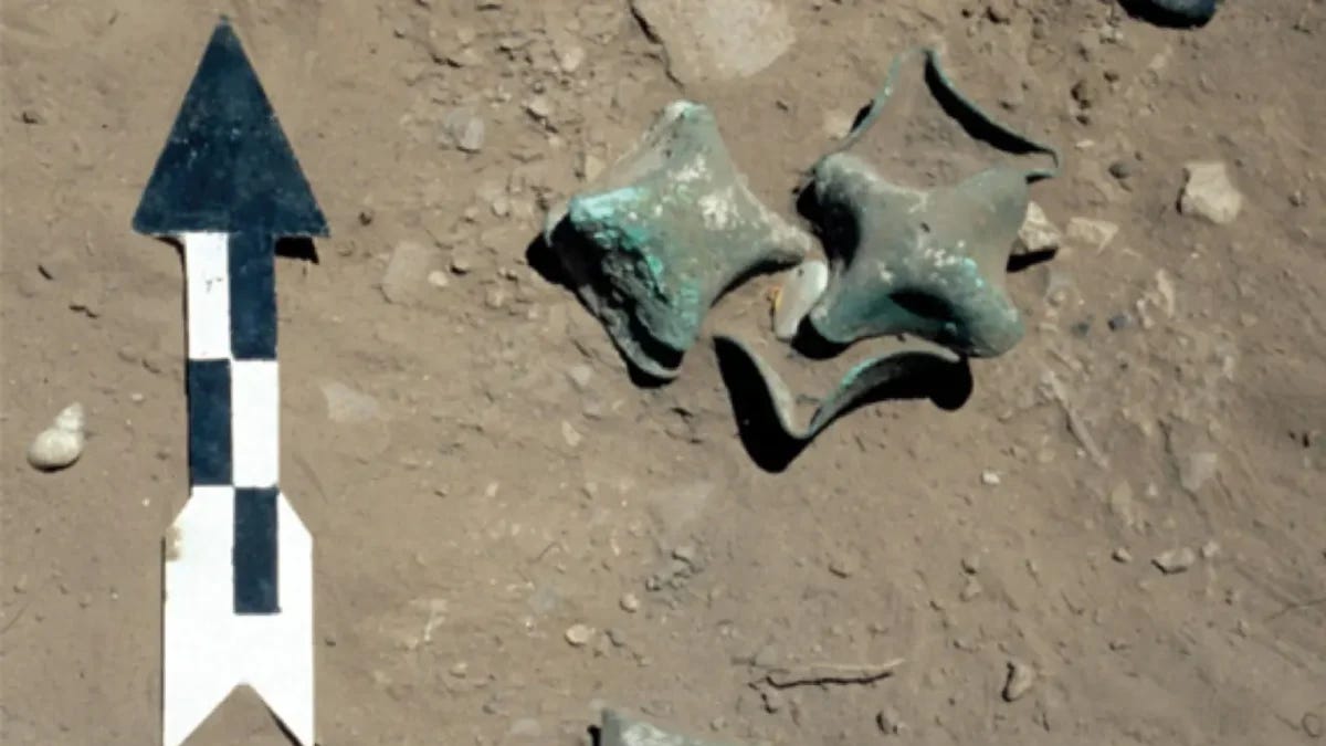 **Ritual offering R-205 deposited inside a qollqa storage structure.** Credit: Alconini S, Sánchez-Canedo W 2026 **Ritual offering R-205 deposited inside a qollqa storage structure.** Credit: Alconini S, Sánchez-Canedo W 2026