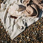 July in Five Senses