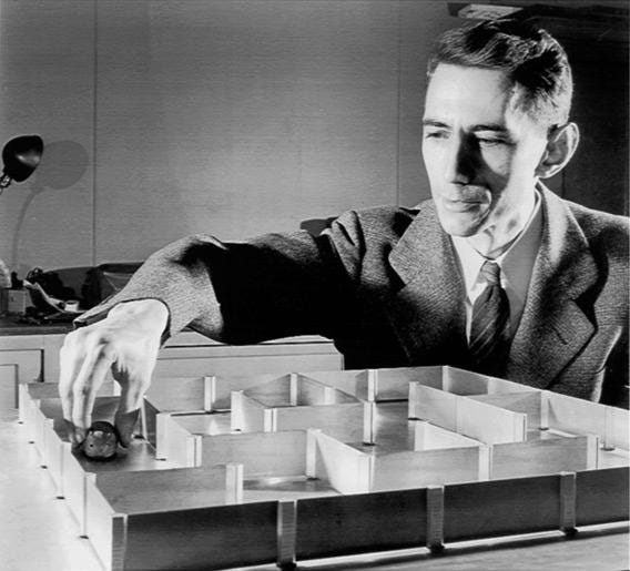 Rat mazes and mouse mazes, a history. Rat mazes and mouse mazes, a history.