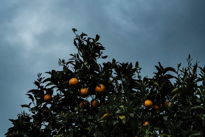 Images from Northern Portugal.