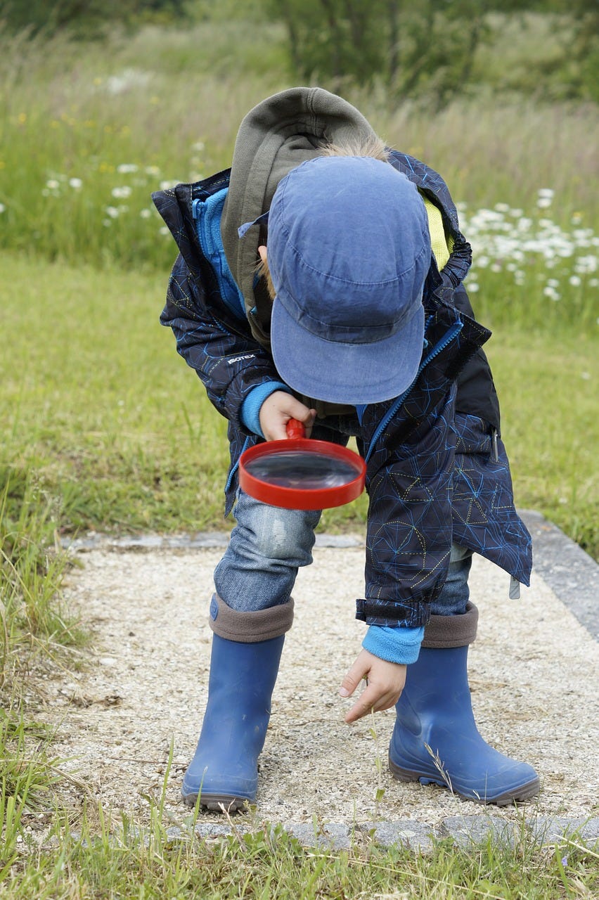 A child in a field looking at something with a magnifying glass A child in a field looking at something with a magnifying glass
