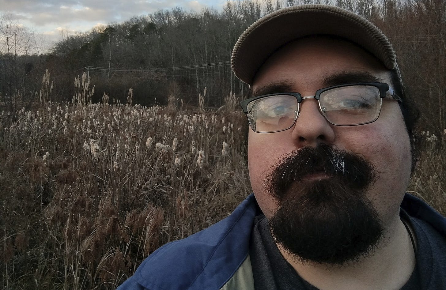 May be an image of grass