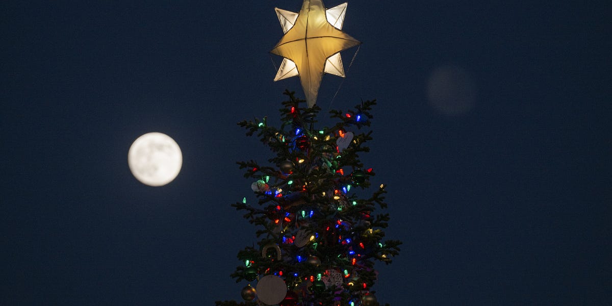 Christmas Circumstances