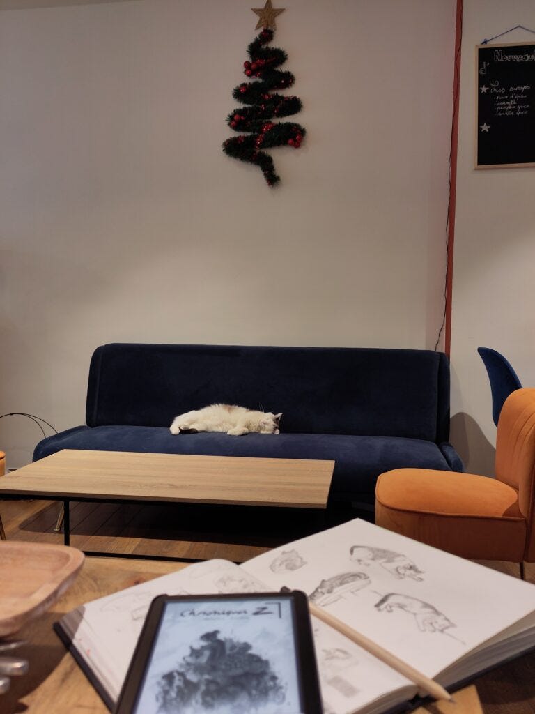photo à l'intérieur d'un bar à chat, on voit un chat qui dort sur un canapé et en avant plan un carnet de croquis et un livre appartenant à la personne qui prend la photo