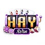 Haywin's avatar