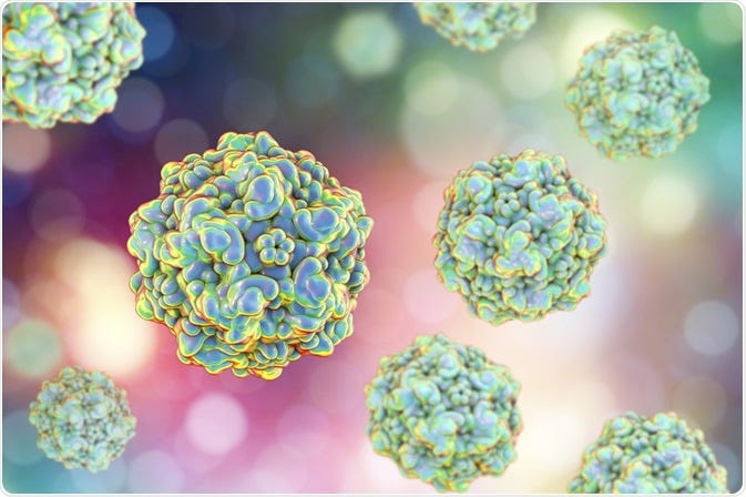 Types of Parvovirus