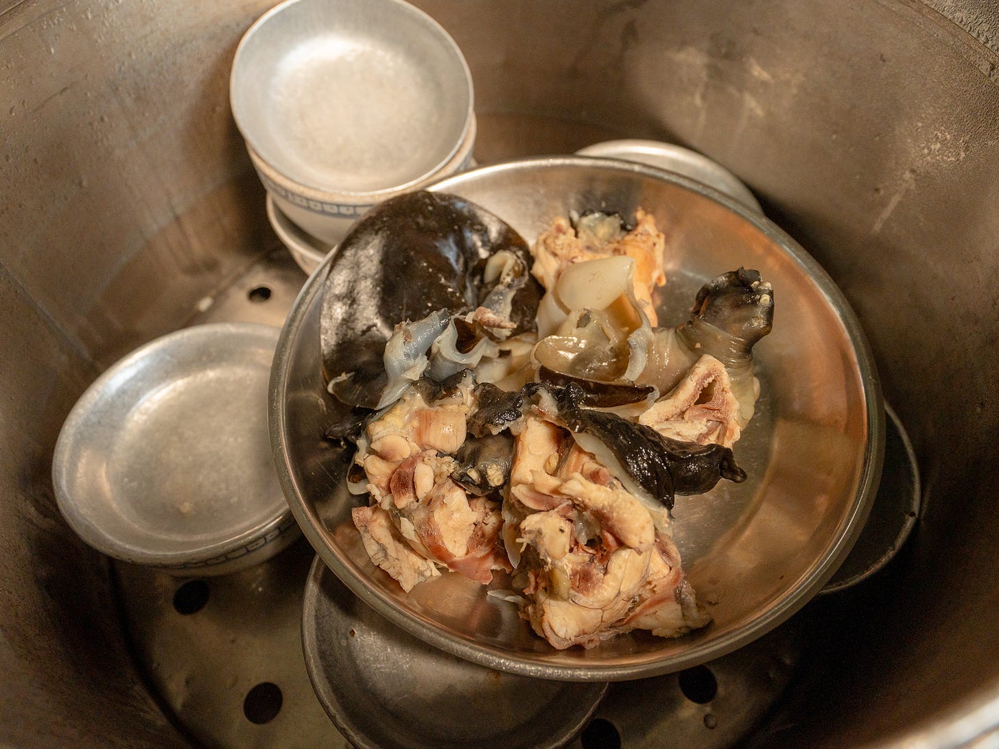 Turtle meat in a pot