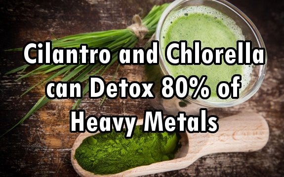 chlorella