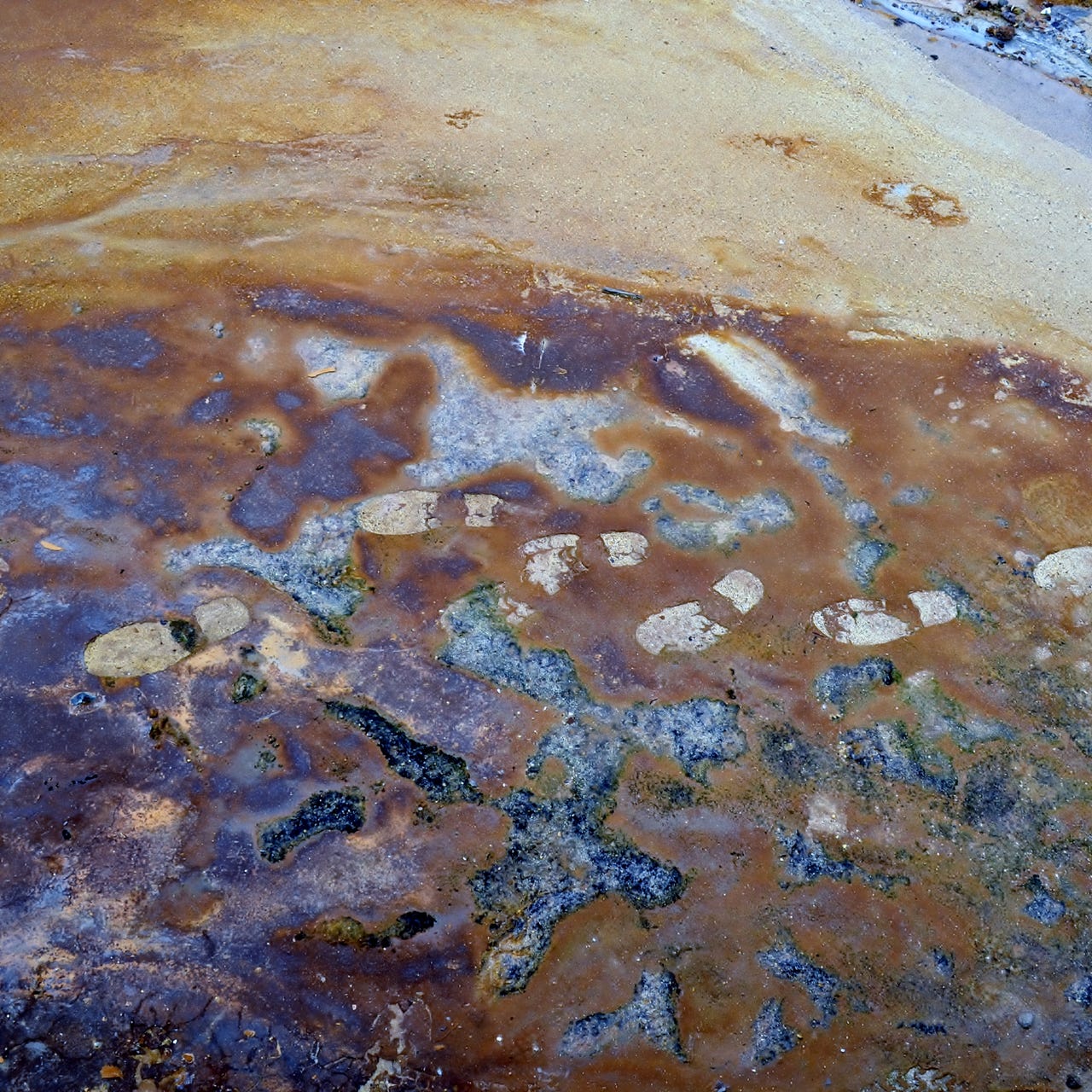 Learning to Teach Geography