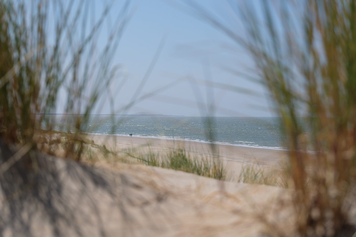 Through tall grass swaying in the breeze, two figures walk along a wide, desolate beach. The scene feels timeless, like a memory held gently at the edge of a dream.