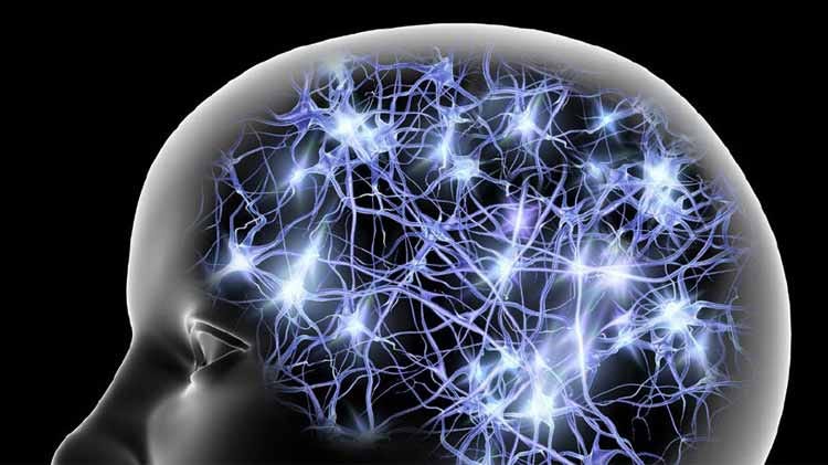 energizing nootropic 750