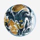 Club de lecture pour le climat