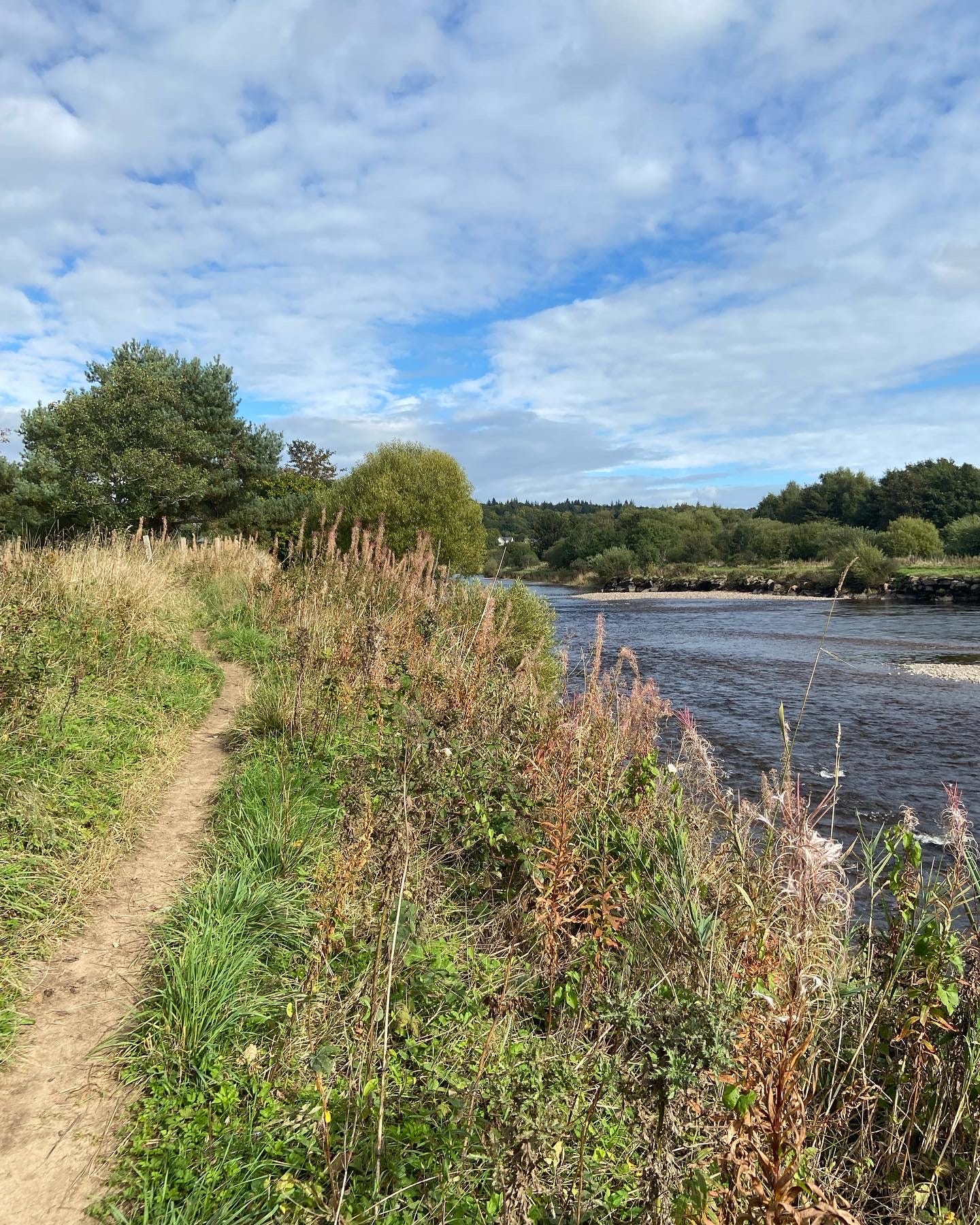 A small dirt trail in the grass on the banks, next to a river. The sky is blue and smattered with white clouds. 