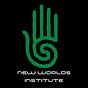 New Worlds Institute's avatar