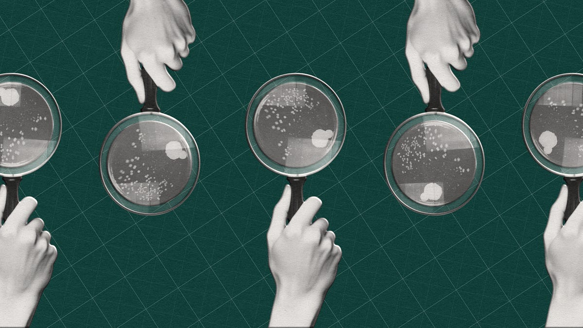 The Penicillin Myth