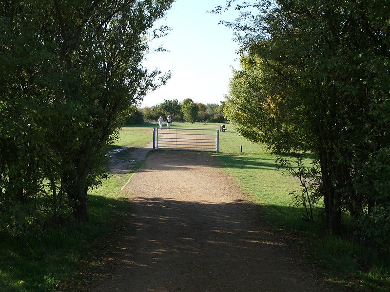 Fairlop Waters — photo by Terry Freedman