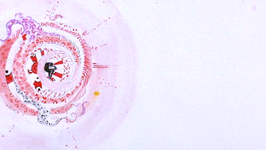 This may contain: an animal cell is shown in red and white colors, with the cells attached to it's back end