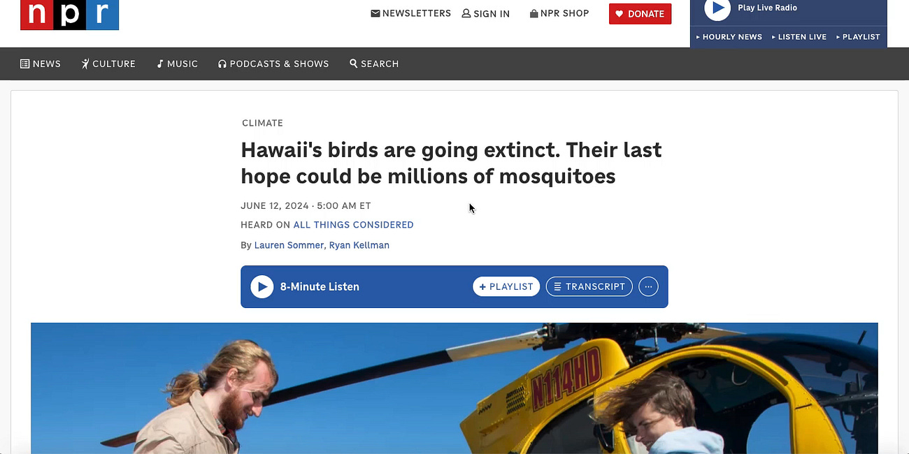 How Hawaiians can stop the Verily's (Alphabet) wolbachia-mosquito releases.