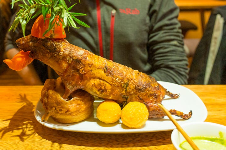 Cuy at Kusikuy. First, served to show off and then carved to make it easier to eat and enjoy.