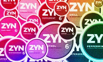 Your Constitutional Right to Zyn - by Kiran Sampath display picture 1