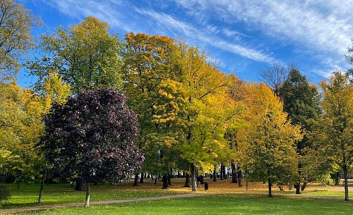 parkview with lawns and trees