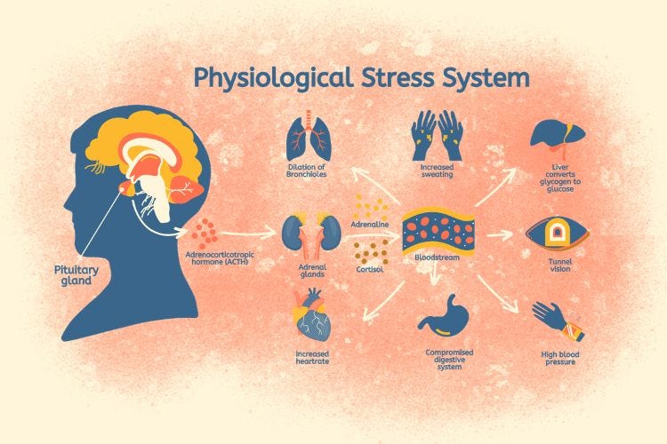 Physiological (Biological) Stress