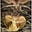 Awe of Machines's avatar