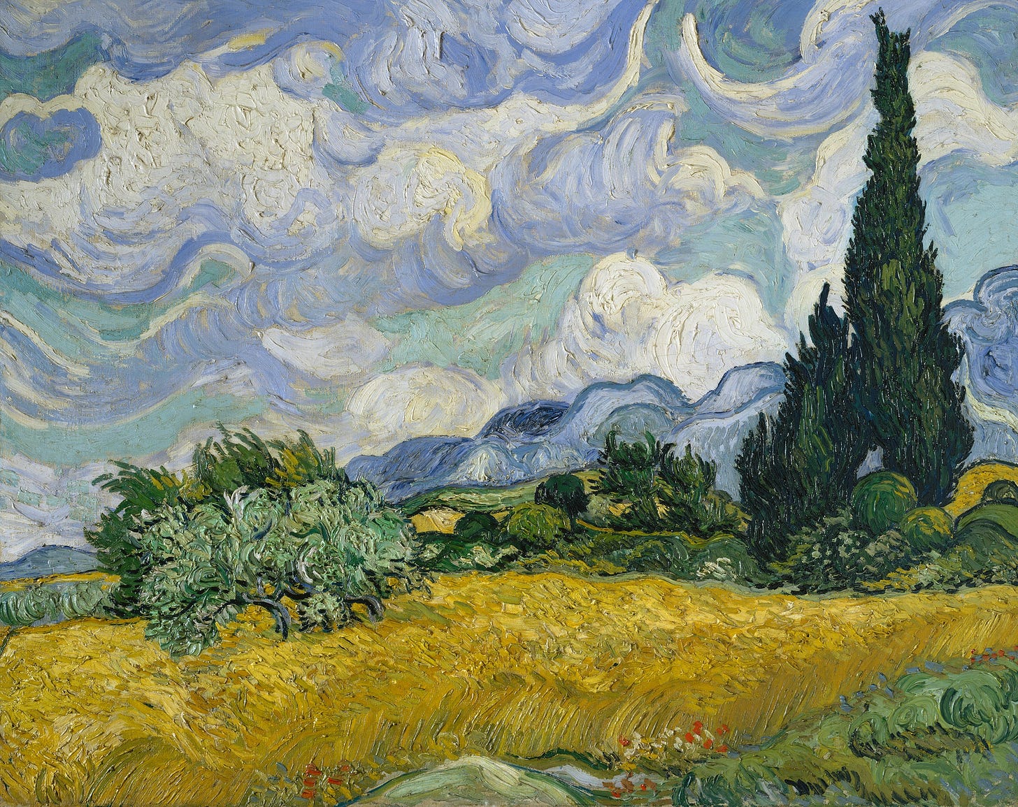 The World-Changing Trees of Vincent van Gogh | The New Yorker The World-Changing Trees of Vincent van Gogh | The New Yorker