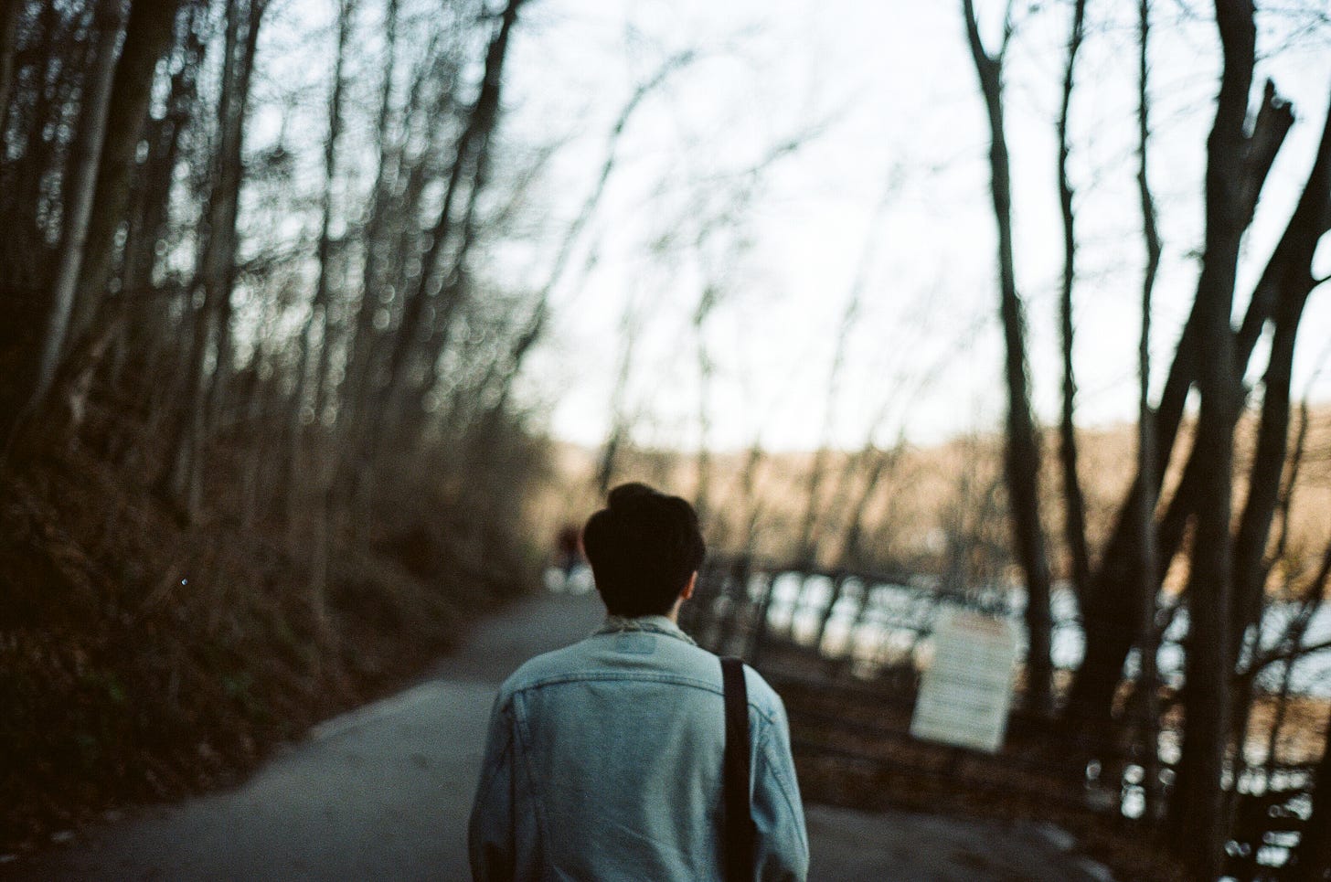 A film photograph of a woman with short hair looking out at a path ahead of her. Large trees line one side, and the other slants down to a lake. It is dark in the foreground and bright further ahead.