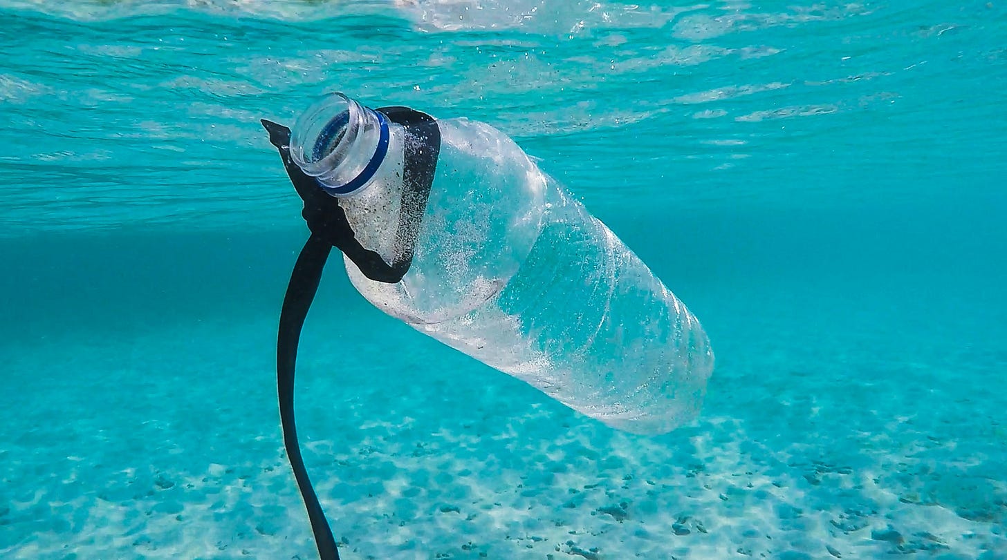 plastic water bottle in water