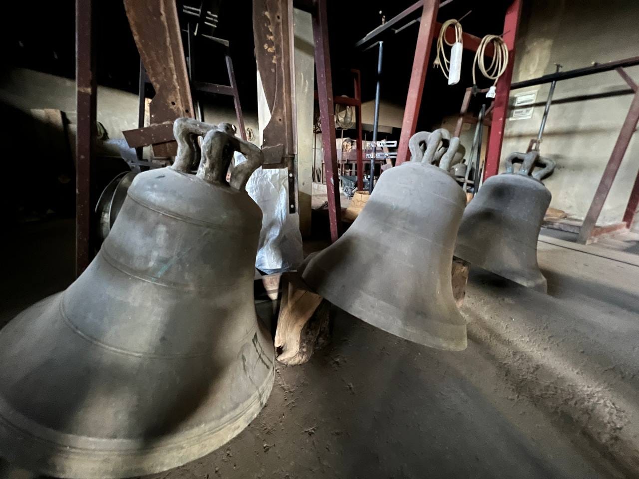 IMG_9528.jpeg IMG_9528.jpeg