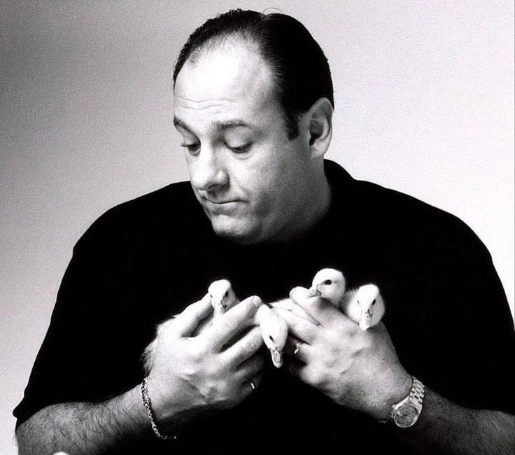 Is Tony Soprano really that alluring, or are we trying to say something else entirely?