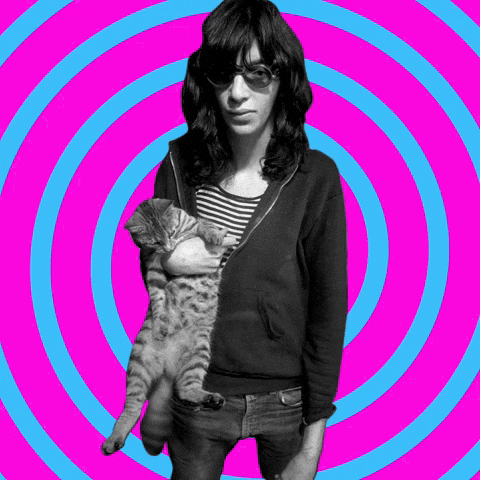 Joey Ramone Gabba Gabba Hey GIF by marsh Joey Ramone Gabba Gabba Hey GIF by marsh