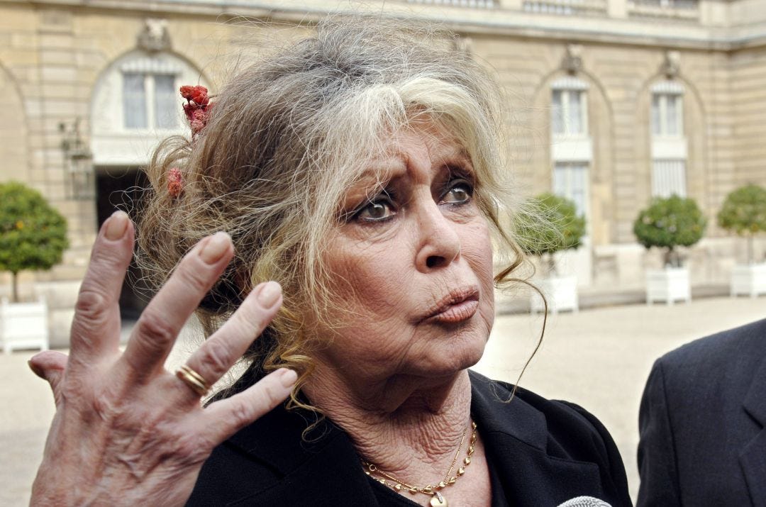 Brigitte Bardot, declaraţii controversate despre coronavirus | MondoNews