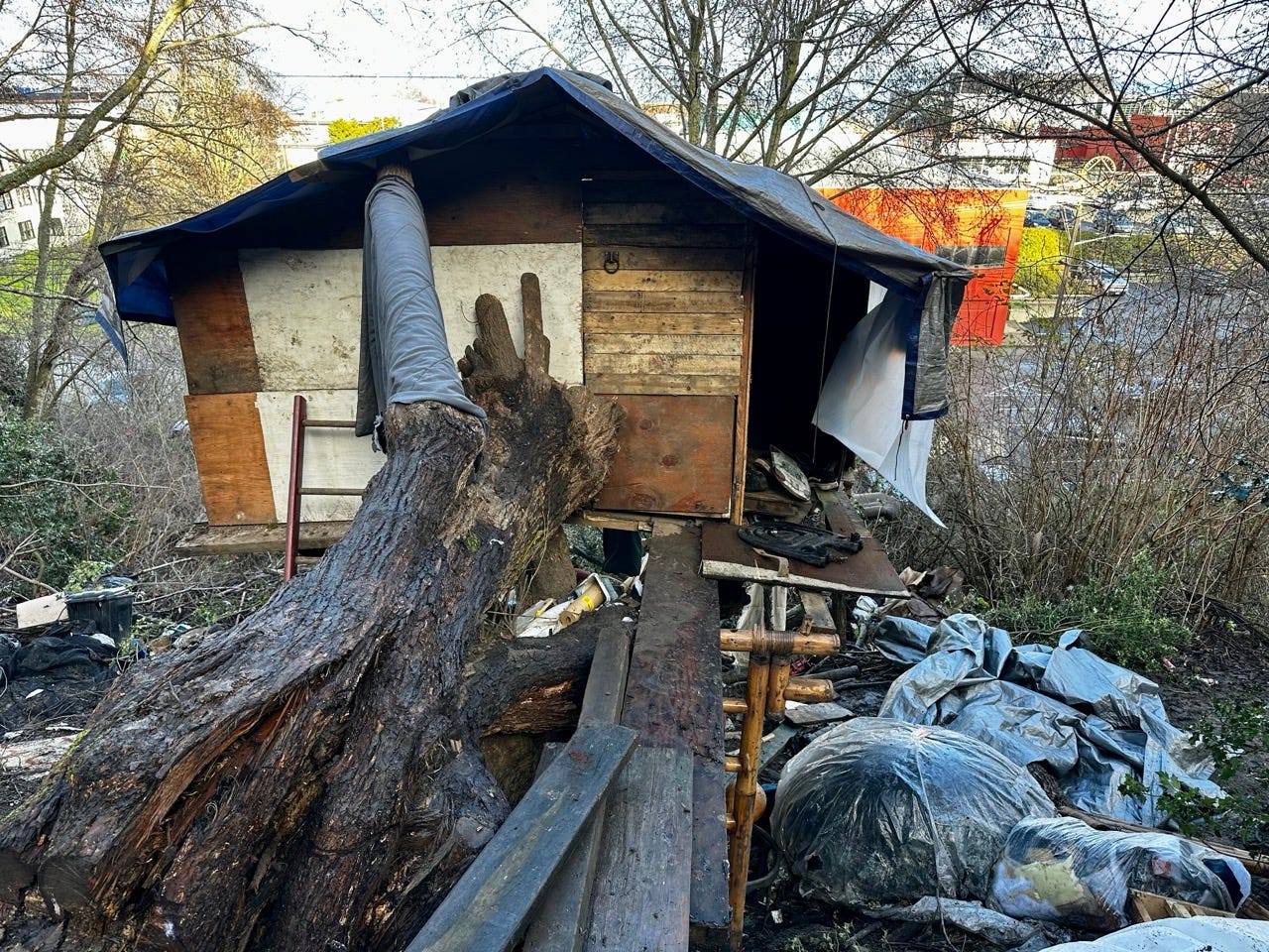 A tree stump and a house

Description automatically generated with medium confidence