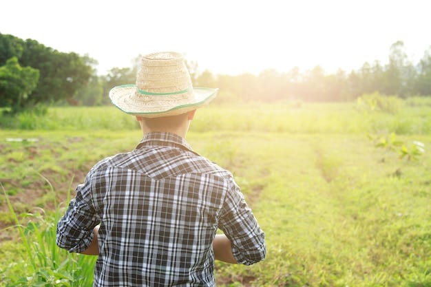 Young farmer in the field observing crops | Free Photo Young farmer in the field observing crops | Free Photo