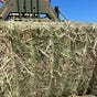 Hay Farmer's avatar