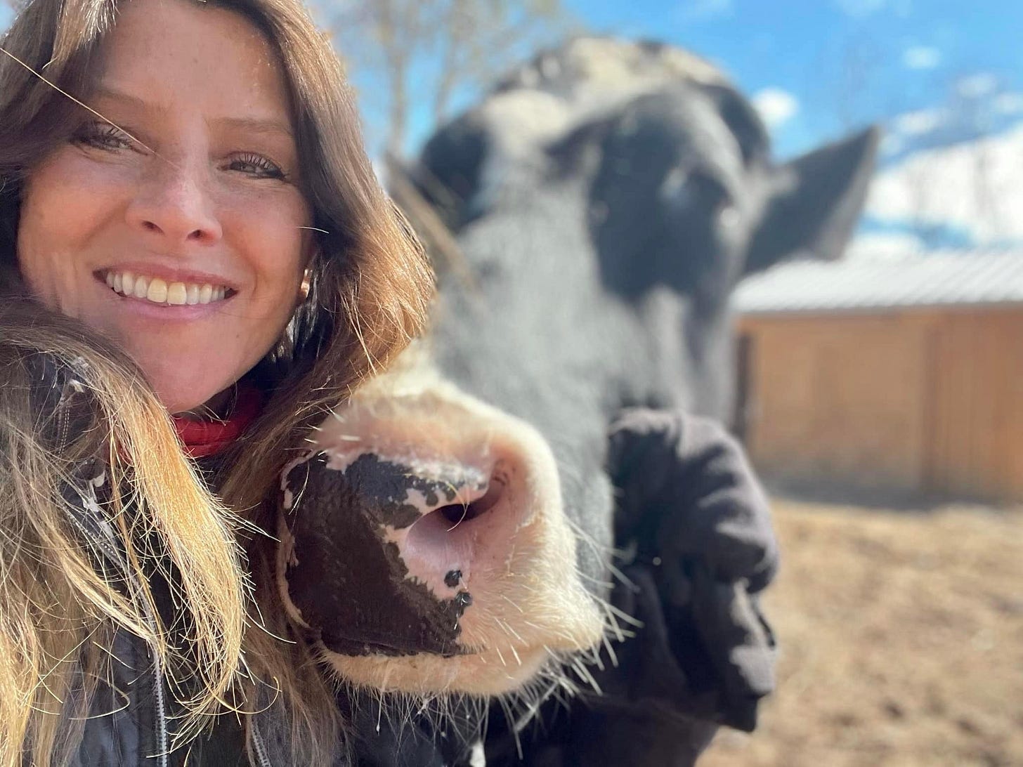 No photo description available. No photo description available.