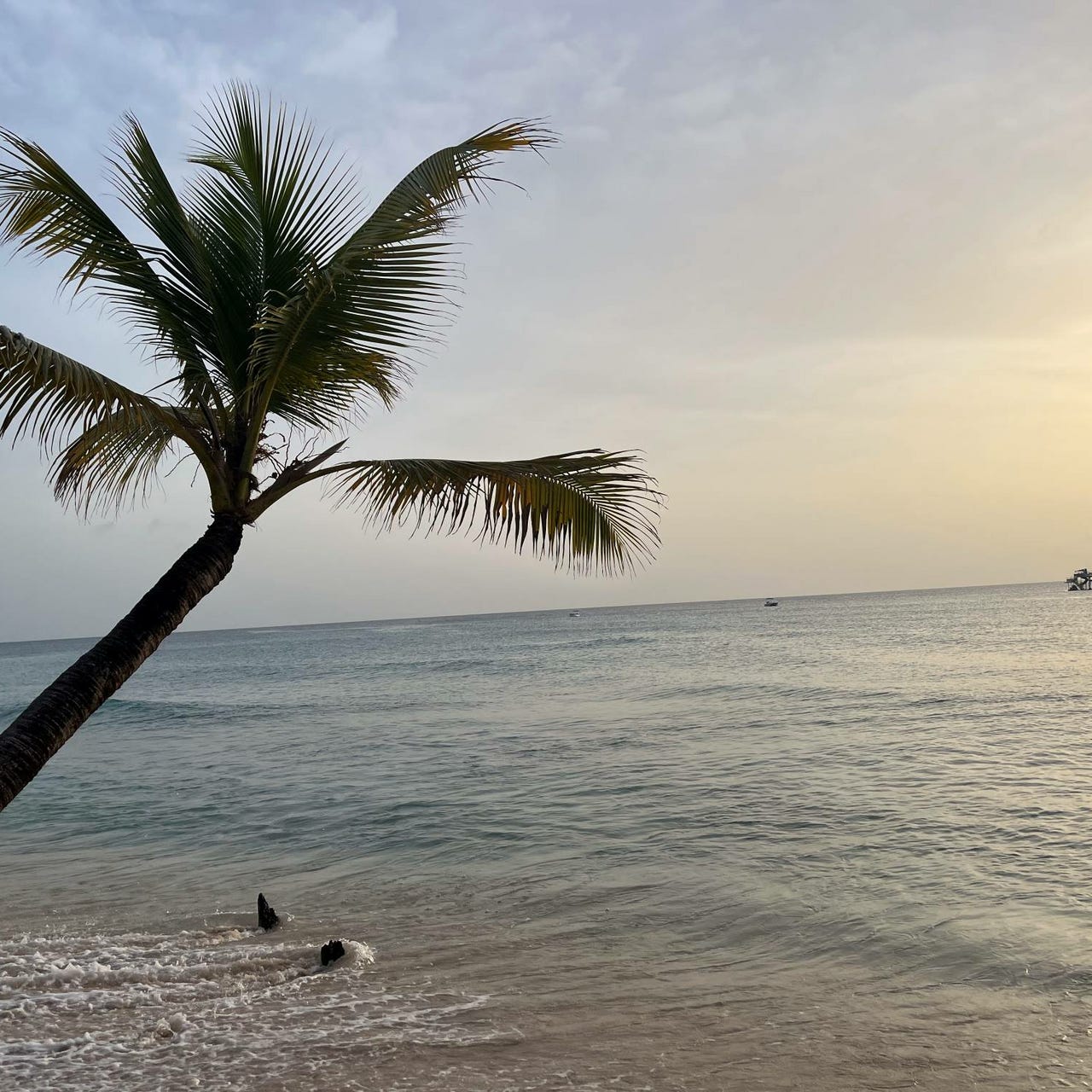 Mouth Open, Story Jump Out with Dawn Beresford