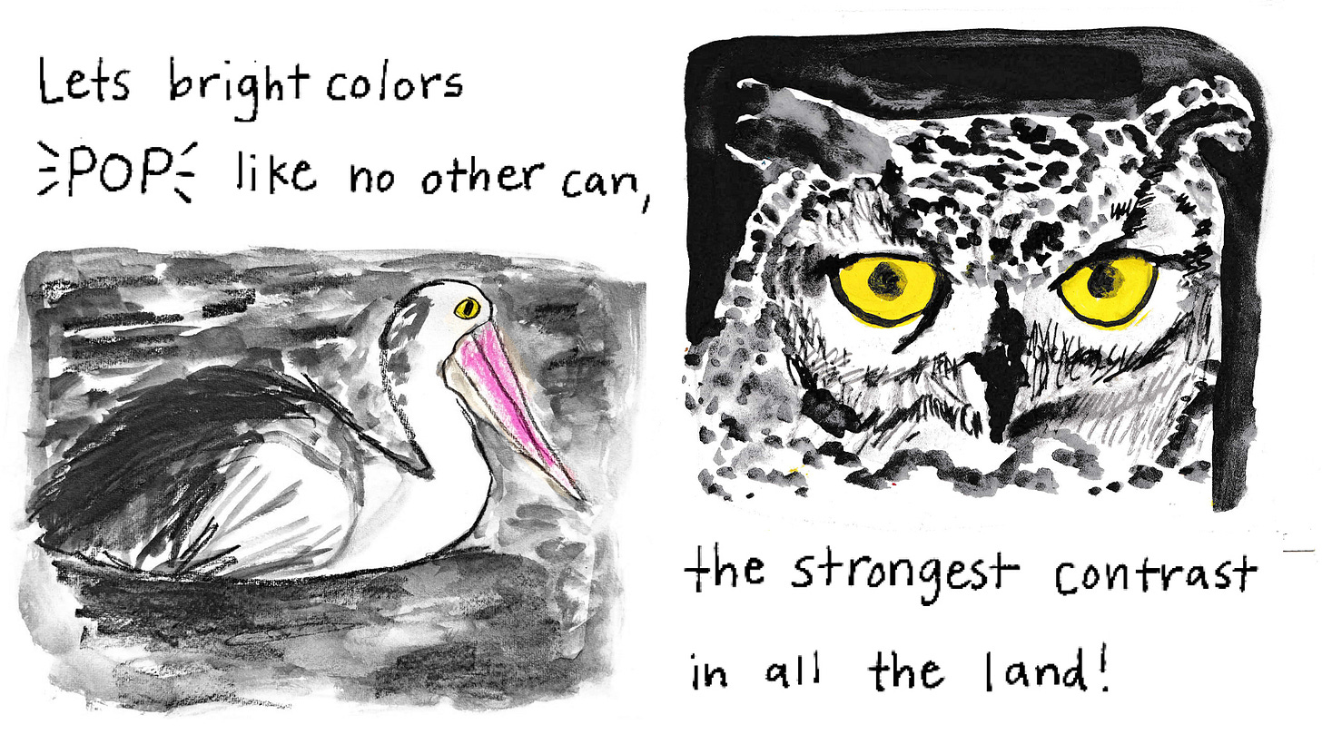 pelican and owl illustrations by Beth Spencer pelican and owl illustrations by Beth Spencer