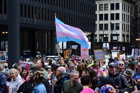 Pictures of the crowd with various trans signs saying: Trans Joy is Resistance, Unite + Fight for Trans Liberation!, Trans Rights = Human Rights, Support Trans Rights or Go F Yourself, My Trans Students Want To Live, Be you, be free, be equal, Protect Trans Rights and Lives, Trans two-spirit people are here, have been here, and will always be here, and a trans flag waving above the crowd.
