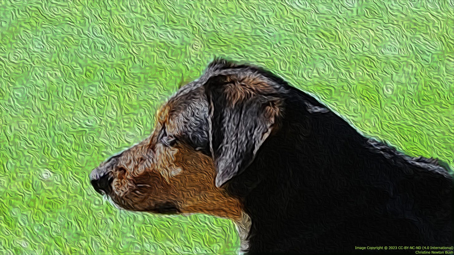 Composite image in a painterly style showing a profile of a tri-color hound against a grassy green field.