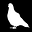 The Coop by Pigeon Magazine's avatar