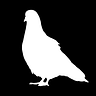 Pigeon’s Substack
