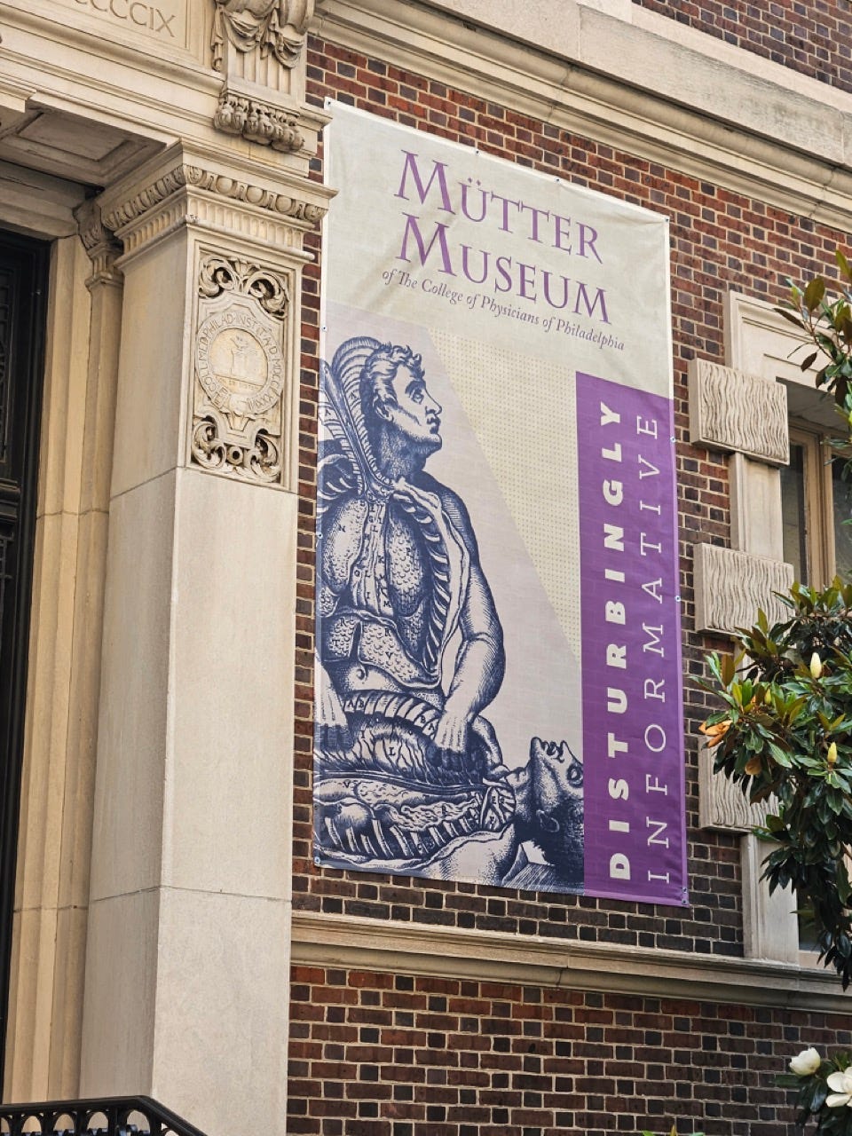Mutter Museum： Of the College Visit | Mütter Museum