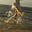 Avatar de mar(i), à deriva 𓇼